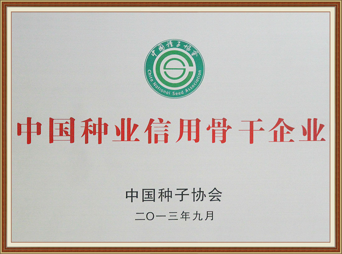 2013信用骨干企業(yè)